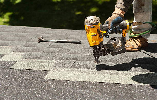 Best Roof Gutter Cleaning  in Ashland, KY